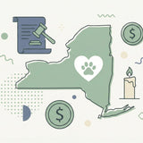 New York Pet Cremation Guide: Laws, Costs & Options - Funeral.com, Inc.