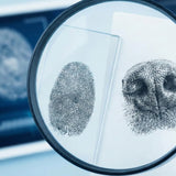 Nose Prints for Pets: A Unique Identifier, How to Capture One, and Preservation Tips