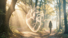 Pacemakers vs ICDs at End of Life: Deactivation, Preventing Shocks, and What Families Should Know - Funeral.com, Inc.