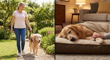 Palliative Care vs. Hospice for Pets: Understanding Your Options - Funeral.com, Inc.