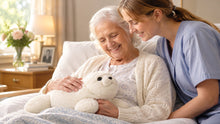 PARO the Robotic Seal in Hospice and Dementia Care: What It Does and Who It Helps