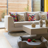 Paw Prints, Clay Prints, and Ink Prints: Creating Pet Keepsakes That Last - Funeral.com, Inc.