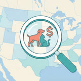Pet Cremation Cost by State: What to Expect and How to Compare Quotes
