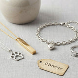 Pet Cremation Jewelry Guide: Necklaces, Charms, and Diamonds—How to Choose and Buy Safely