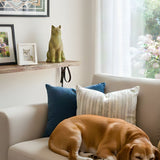 Pet Cremation & Memorial FAQ