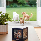 Pet Cremation Options Explained: Communal, Partitioned, and Private Cremation