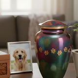 Pet Cremation Options: Private vs Communal, What “Individual” Really Means, and How to Choose With Confidence - Funeral.com, Inc.