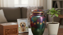Pet Cremation Options: Private vs Communal, What “Individual” Really Means, and How to Choose With Confidence - Funeral.com, Inc.