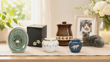 Pet Cremation: What Happens and How to Choose a Pet Urn