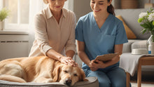Pet Hospice vs. Palliative Care: The Difference, and Why It Matters for Planning - Funeral.com, Inc.