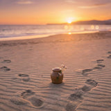 Pet Loss After Divorce or Breakup: Who Keeps the Ashes, Keepsakes, and What’s Fair - Funeral.com, Inc.