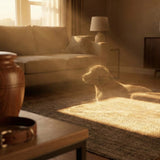 Pet Loss and Spiritual Signs: Comforting “Visits” and Symbolic Moments