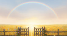 Pet Loss and the Rainbow Bridge: Comforting Story or Painful Myth? - Funeral.com, Inc.