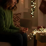 Pet Loss During the Holidays: Decorating, Traditions & Tender Boundaries That Protect Your Heart