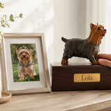 Pet Loss Help in Maine (2026): Hotlines, Groups & Counseling
