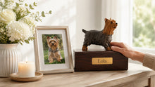 Pet Loss Help in Maine (2026): Hotlines, Groups & Counseling
