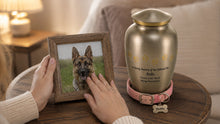 Pet Loss Support Resources in New Jersey (2026): Hotlines, Grief Groups & Counseling