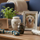 Pet Memorial Ideas: 15 Meaningful Things to Do With Your Pet’s Ashes - Funeral.com, Inc.