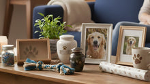 Pet Memorial Ideas: 15 Meaningful Things to Do With Your Pet’s Ashes - Funeral.com, Inc.