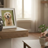 Pet Memorial Ideas After Cremation: Meaningful Things to Do With Your Pet’s Ashes - Funeral.com, Inc.