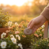 Pet Memorial Ideas: Gentle Ways to Honor a Life That Mattered