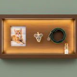 Pet Memorial Shelf Ideas: Create a Cozy At-Home Tribute with Photos, Urns, and Keepsakes