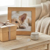 Pet Sympathy Gifts: Meaningful Ways to Offer Comfort When a Friend Loses a Beloved Animal - Funeral.com, Inc.