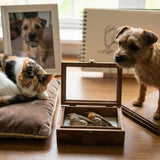 Pet Taxidermy: Freeze-Dry vs. Traditional Methods (Cost, Realism, and Emotional Considerations)