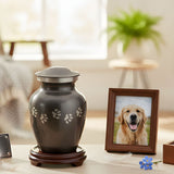 Pet Urn Accessories: Stands, Plaques, Photo Frames & Keepsake Boxes (What’s Worth It)
