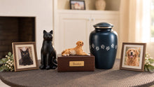 Pet Urns 101: How to Choose the Right Urn for Your Dog or Cat