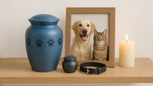 Pet Urns for Ashes: A Complete Guide for Dog and Cat Owners - Funeral.com, Inc.