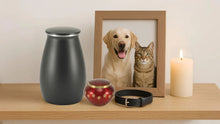 Pet Urns for Ashes: A Complete Guide for Dog and Cat Owners