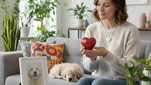 Pet Urns & Pet Keepsake Jewelry: Choosing a Memorial That Feels Right - Funeral.com, Inc.