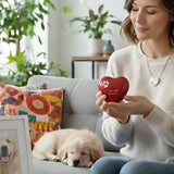 Pet Urns & Pet Keepsake Jewelry: Choosing a Memorial That Feels Right