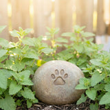 Planting a Catnip Garden Over a Biodegradable Cat Urn: A Simple Memorial Plan - Funeral.com, Inc.