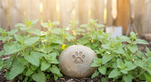 Planting a Catnip Garden Over a Biodegradable Cat Urn: A Simple Memorial Plan - Funeral.com, Inc.