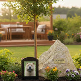 Planting a Tree or Garden in Memory of a Pet