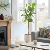 A Gentle Guide to Cremation Urns and Memorial Choices