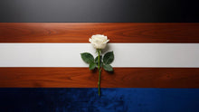 Choosing Casket and Urn Colors: Meaningful Farewells