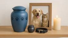 Complete Guide to Choosing Pet Urns for Ashes