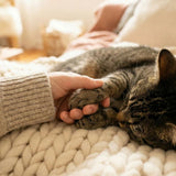 Comprehensive Guide to In-Home Pet Euthanasia & Memorial Options