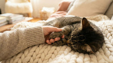Comprehensive Guide to In-Home Pet Euthanasia & Memorial Options