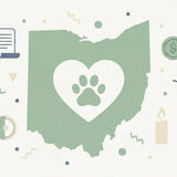 Comprehensive Ohio Pet Cremation Guide
