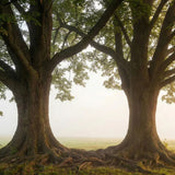 Couples Burial and Cremation Planning Guide