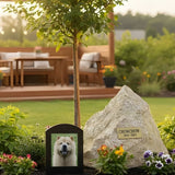 Creating a Living Memorial for Your Pet