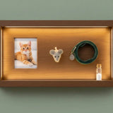 Creating a Meaningful Pet Memorial at Home