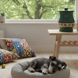 Creative Ways to Honor Your Dog’s Memory