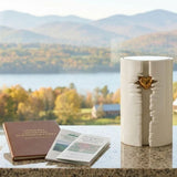 Cremation Cost in Vermont: Average Prices and Providers in the Top 10 Cities by Population
