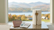 Cremation Cost in Vermont: Average Prices and Providers in the Top 10 Cities by Population
