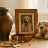 Dog Memorials: Honoring Beloved Pets with Meaningful Tributes